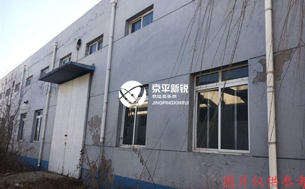 齐善庄村