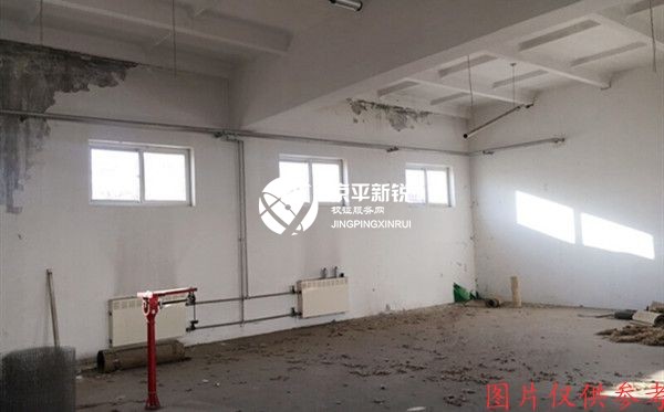 齐善庄村