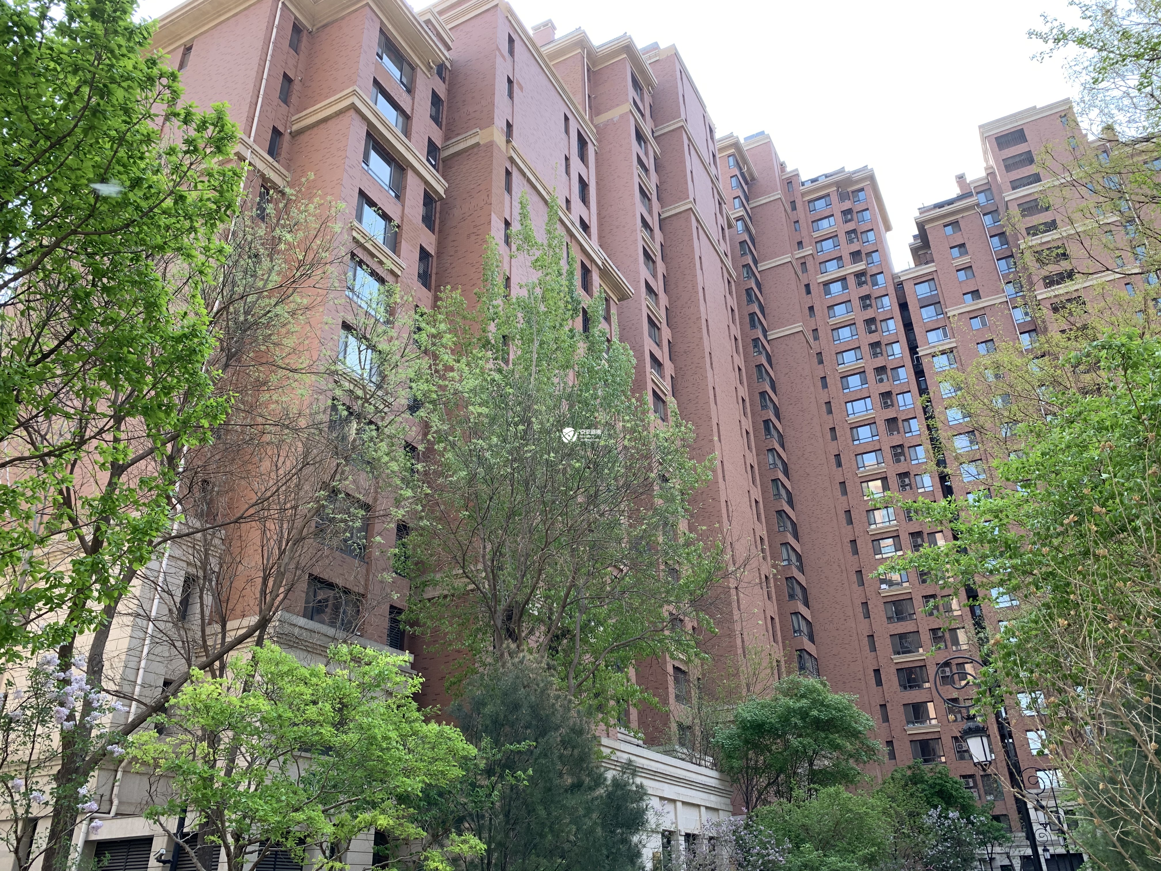 西堤红山